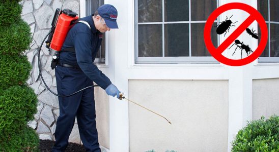 Evciler Böcek İlaçlama böcek ilaçlama ve haşere kontrolü — ilaclama-tr.com